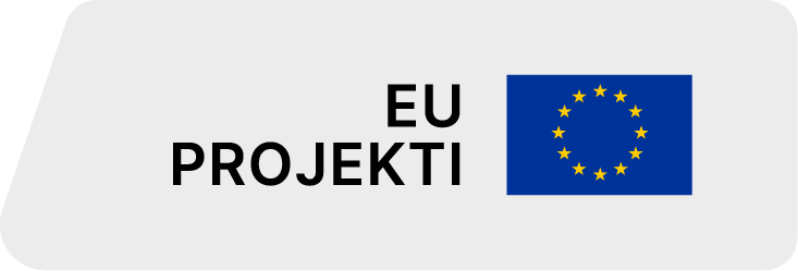 Europska Unija