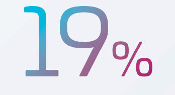 19%